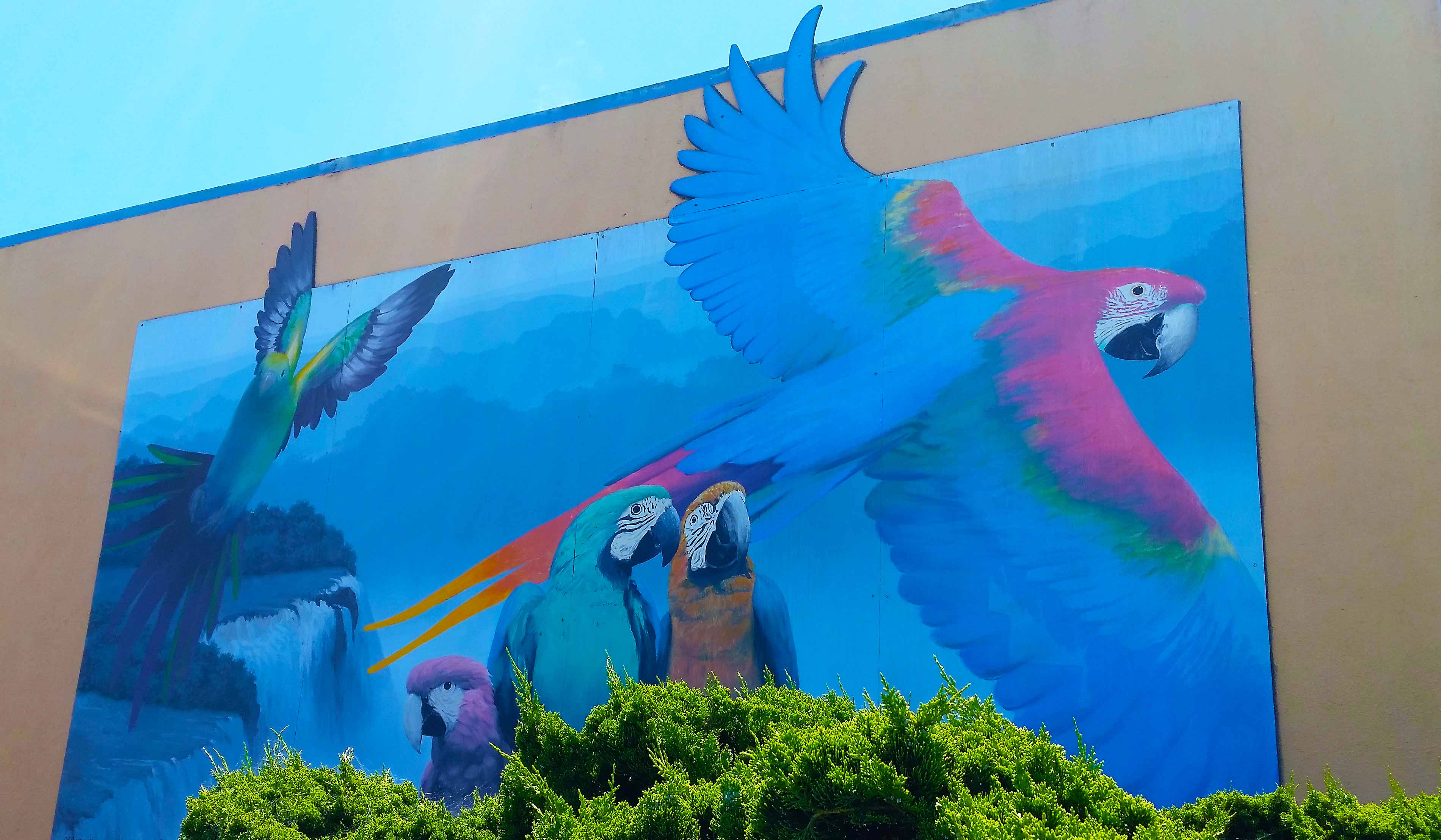 FinNFeather Eureka Pet Supplies Eureka Pet Store