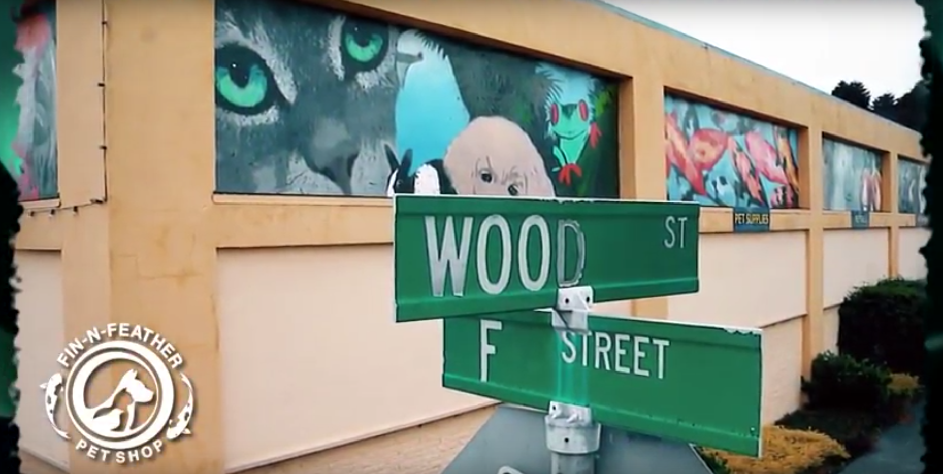 FinNFeather Eureka Pet Supplies Eureka Pet Store